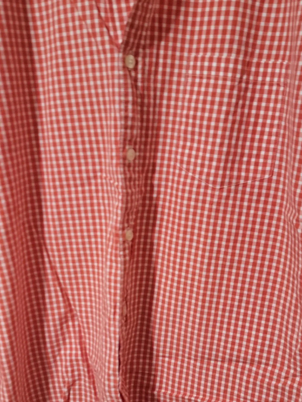 J. Crew Men's Red Gingham Button-Down Shirt